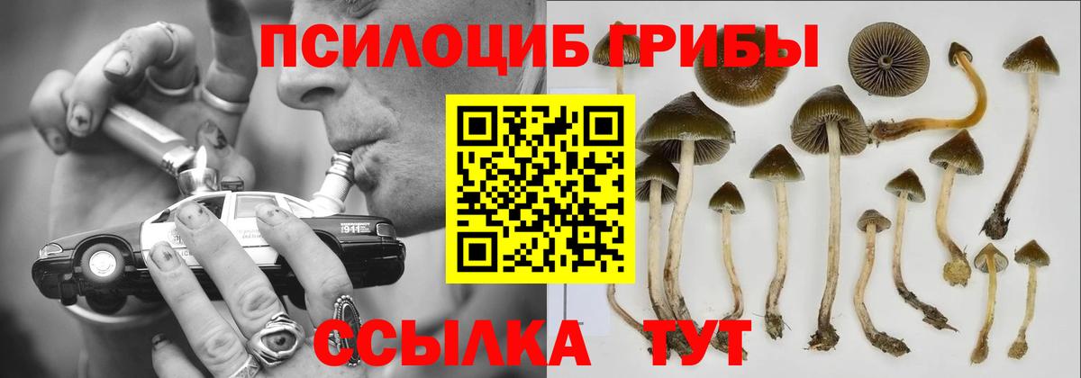 Павловский Посад  наркошоп  Вход с VPN  Псилоцибиновые грибы MAGIC MUSHROOMS 